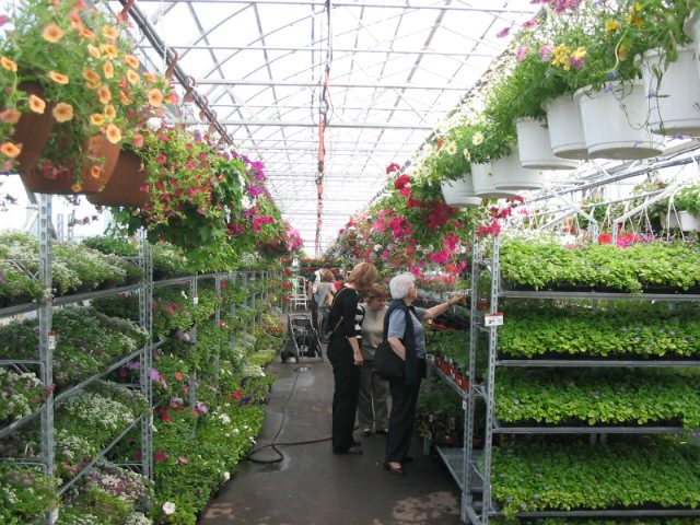 4 season greenhouse interior